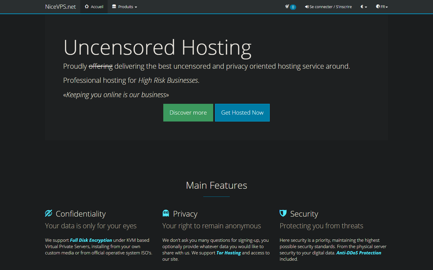 NiceVPS screenshot