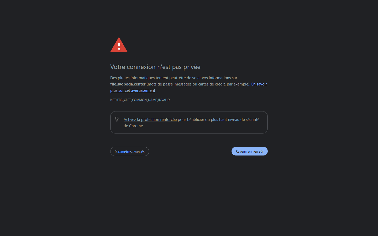 Svoboda File Share screenshot