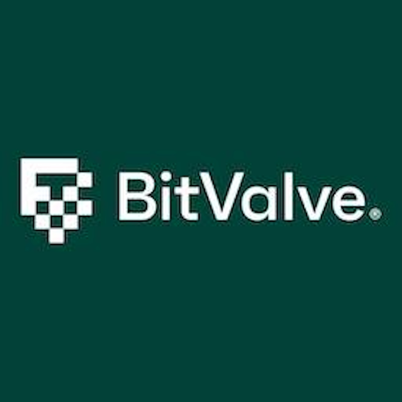 BitValve P2P logo