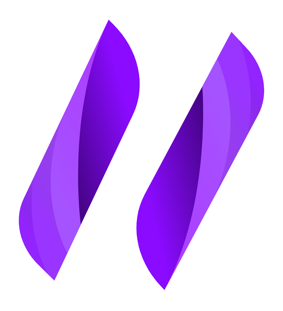 NativeSwap logo