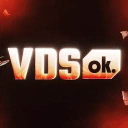 VDSok logo